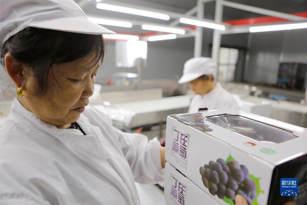 微信捕鱼大奖赛